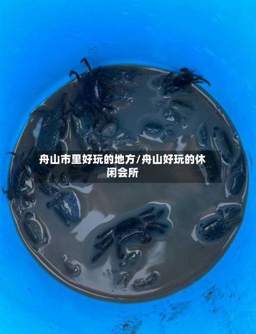 舟山市里好玩的地方/舟山好玩的休闲会所-第3张图片