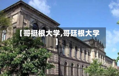 【哥挺根大学,哥廷根大学】