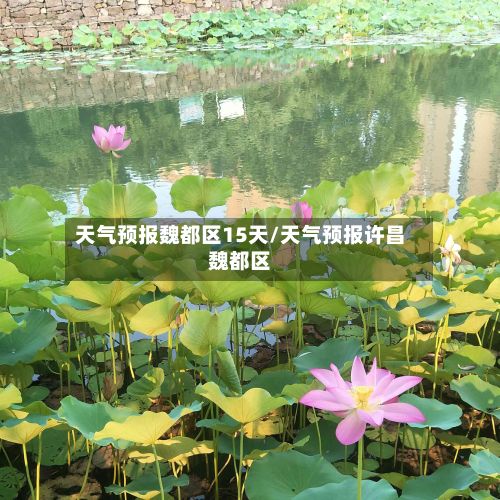 天气预报魏都区15天/天气预报许昌魏都区-第3张图片