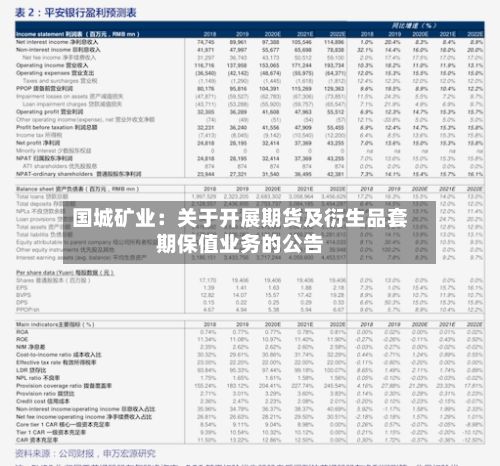 国城矿业：关于开展期货及衍生品套期保值业务的公告