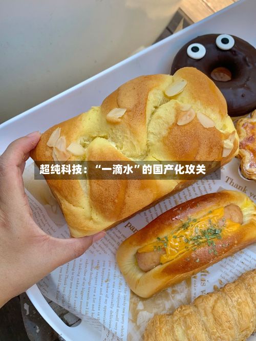 超纯科技：“一滴水”的国产化攻关-第3张图片
