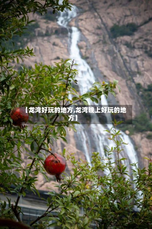 【龙湾好玩的地方,龙湾晚上好玩的地方】-第3张图片
