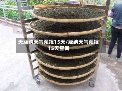 天版纳天气预报15天/版纳天气预报15天查询-第2张图片