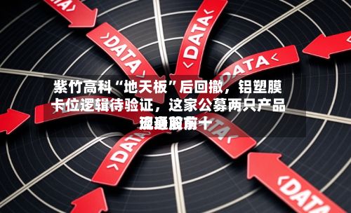 紫竹高科“地天板”后回撤	，铝塑膜卡位逻辑待验证，这家公募两只产品现身前前十流通股东-第2张图片