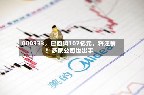 000333，已回购107亿元，将注销！多家公司也出手