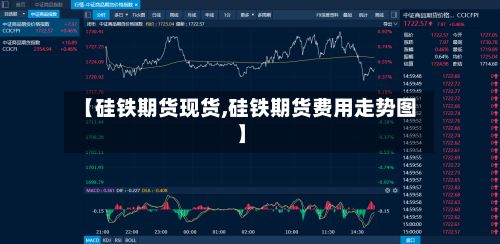 【硅铁期货现货,硅铁期货费用走势图】-第2张图片