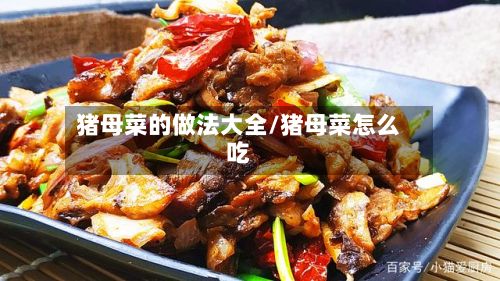 猪母菜的做法大全/猪母菜怎么吃-第2张图片