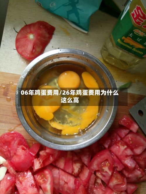 06年鸡蛋费用/26年鸡蛋费用为什么这么高