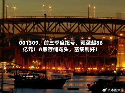 001309，前三季度扭亏	，预盈超86亿元！A股存储龙头，密集利好！-第3张图片