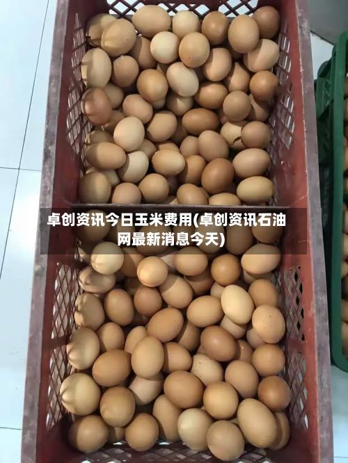 卓创资讯今日玉米费用(卓创资讯石油网最新消息今天)-第3张图片
