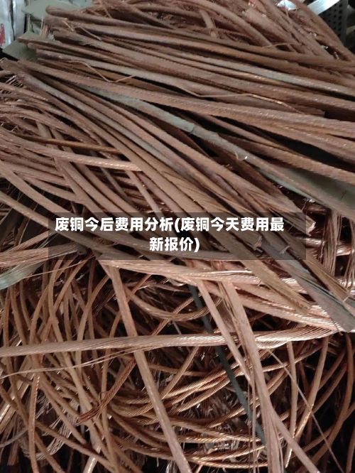 废铜今后费用分析(废铜今天费用最新报价)