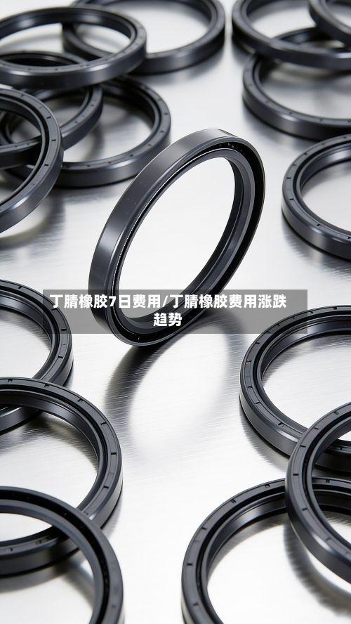 丁腈橡胶7日费用/丁腈橡胶费用涨跌趋势-第2张图片