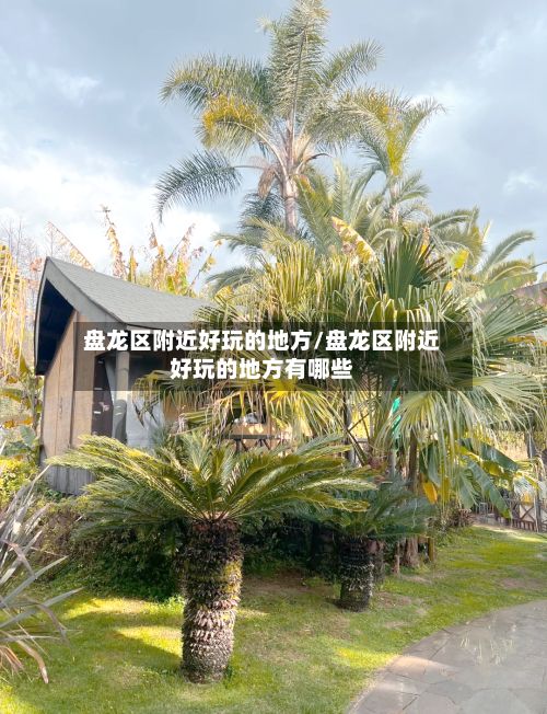 盘龙区附近好玩的地方/盘龙区附近好玩的地方有哪些