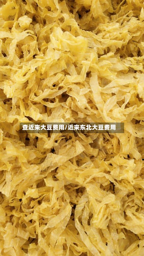 查近来大豆费用/近来东北大豆费用-第2张图片