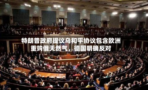 特朗普政府提议乌和平协议包含欧洲重购俄天然气，德国明确反对-第2张图片