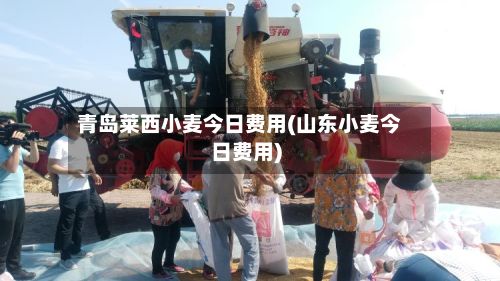 青岛莱西小麦今日费用(山东小麦今日费用)-第2张图片