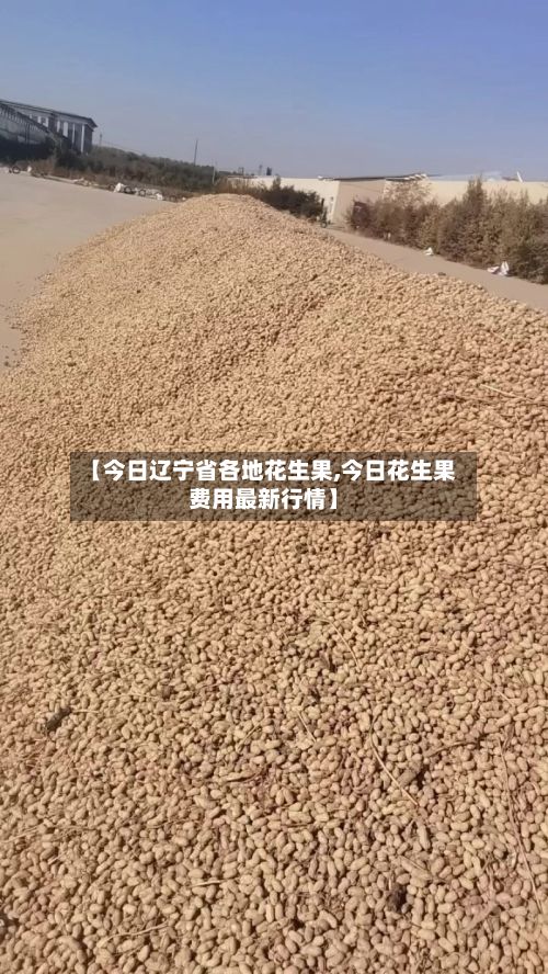 【今日辽宁省各地花生果,今日花生果费用最新行情】-第2张图片