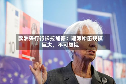 欧洲央行行长拉加德：能源冲击规模巨大，不可忽视-第3张图片