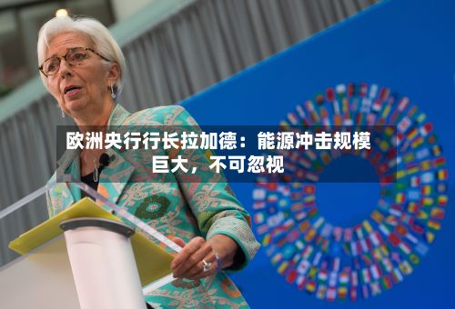 欧洲央行行长拉加德：能源冲击规模巨大，不可忽视-第2张图片
