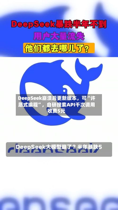 DeepSeek崩溃后更新版本	，可“许愿式编程”，自研搜索API千次调用收费5元-第3张图片