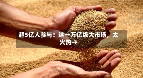 超5亿人参与！这一万亿级大市场，太火热→-第2张图片