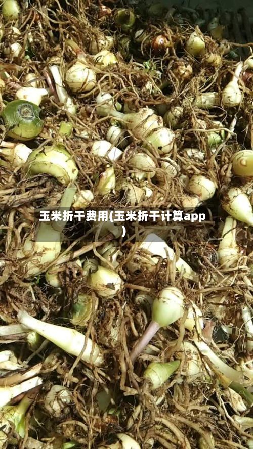 玉米折干费用(玉米折干计算app)-第3张图片