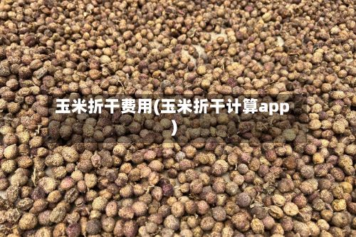 玉米折干费用(玉米折干计算app)-第2张图片