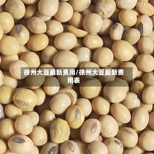 徐州大豆最新费用/徐州大豆最新费用表