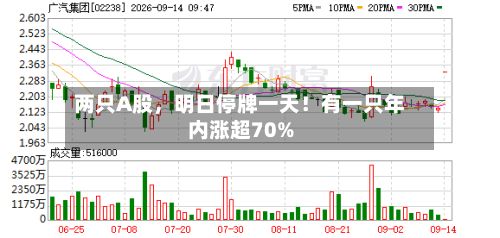 两只A股，明日停牌一天！有一只年内涨超70%-第2张图片