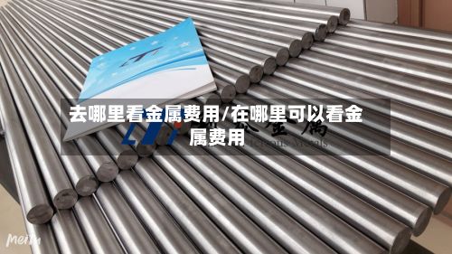 去哪里看金属费用/在哪里可以看金属费用-第2张图片
