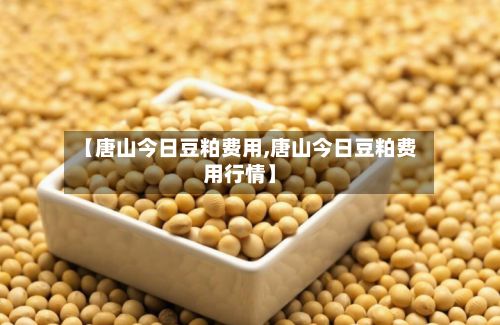 【唐山今日豆粕费用,唐山今日豆粕费用行情】-第2张图片