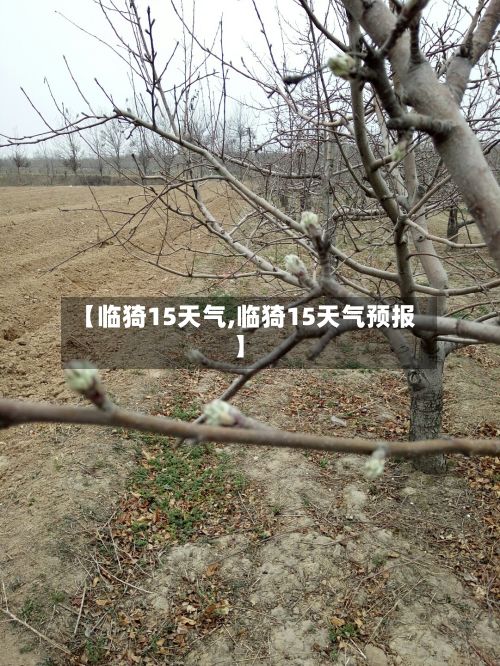 【临猗15天气,临猗15天气预报】-第2张图片