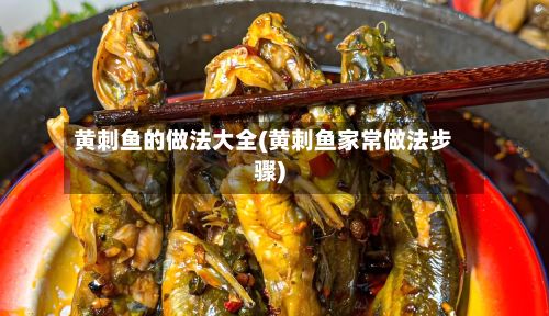 黄刺鱼的做法大全(黄刺鱼家常做法步骤)