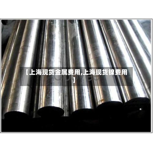 【上海现货金属费用,上海现货镍费用】