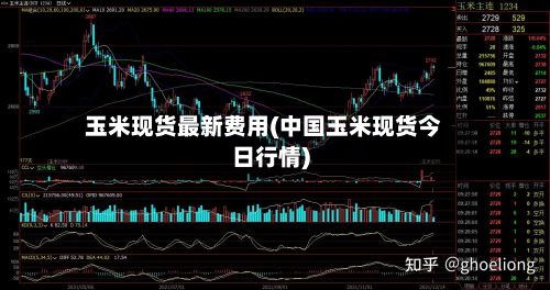 玉米现货最新费用(中国玉米现货今日行情)