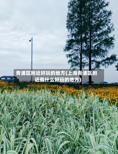 青浦区附近好玩的地方(上海青浦区附近有什么好玩的地方)-第2张图片