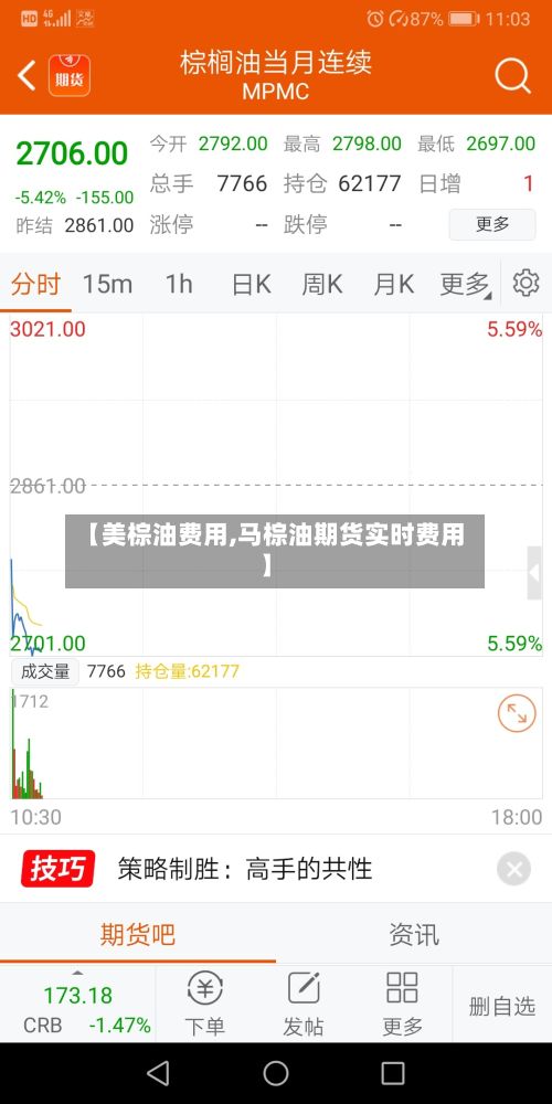 【美棕油费用,马棕油期货实时费用】-第2张图片