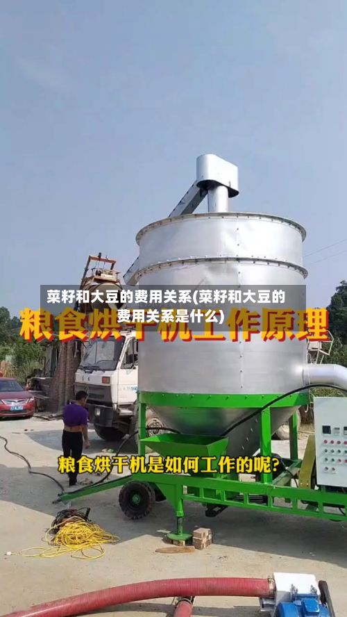 菜籽和大豆的费用关系(菜籽和大豆的费用关系是什么)-第2张图片