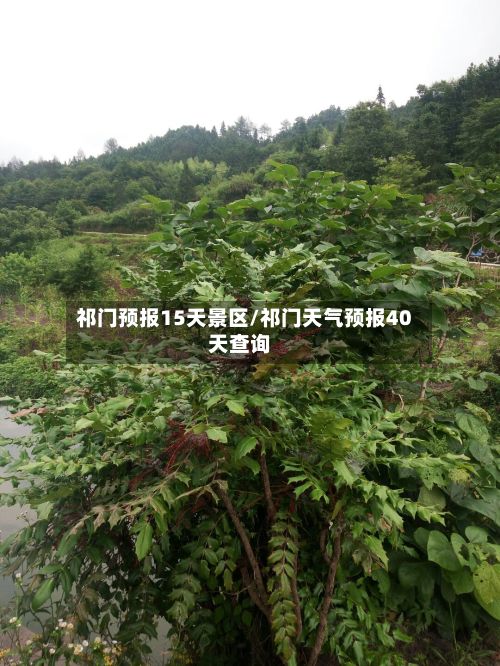 祁门预报15天景区/祁门天气预报40天查询