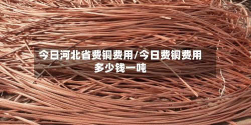 今日河北省费铜费用/今日费铜费用多少钱一吨