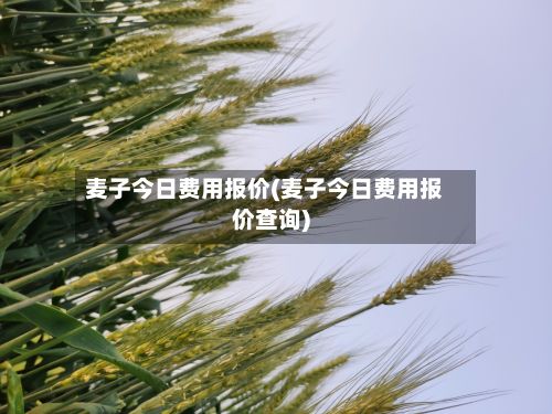 麦子今日费用报价(麦子今日费用报价查询)