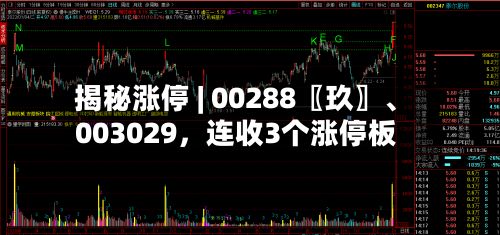 揭秘涨停 | 00288〖玖〗	、003029，连收3个涨停板-第1张图片