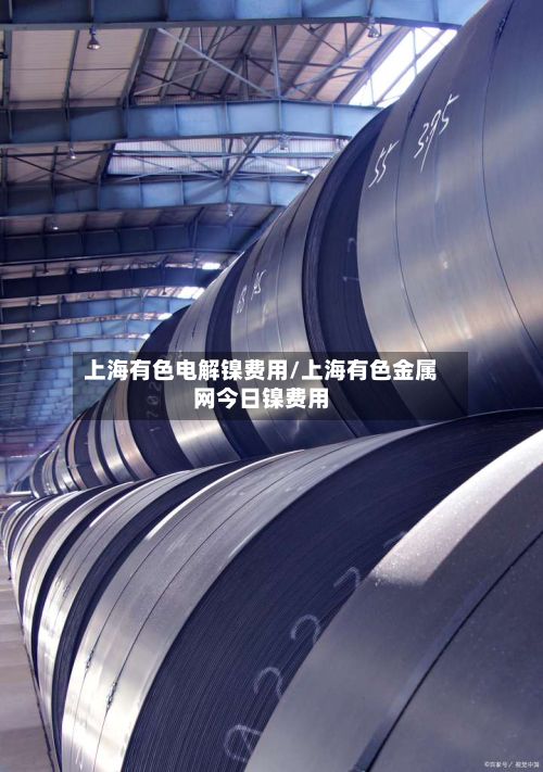 上海有色电解镍费用/上海有色金属网今日镍费用-第3张图片