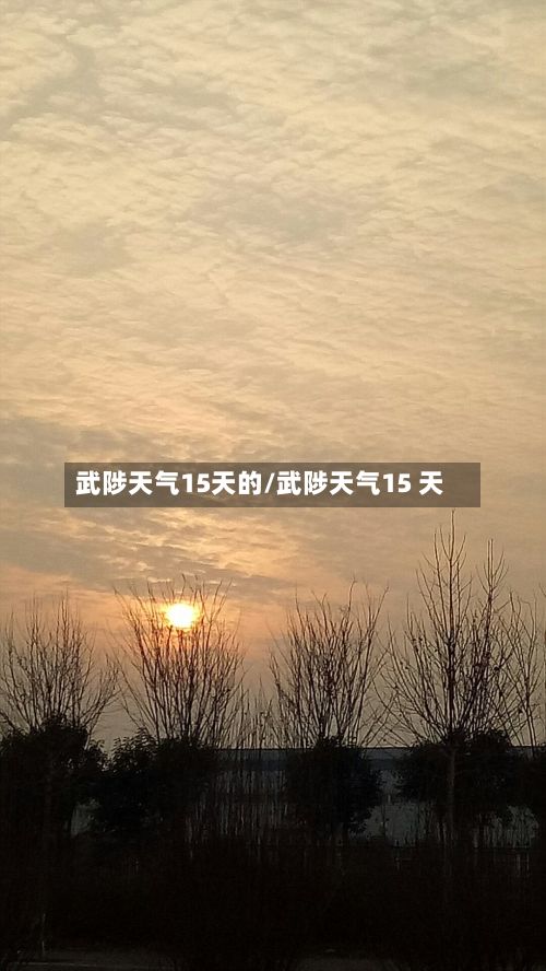 武陟天气15天的/武陟天气15 天