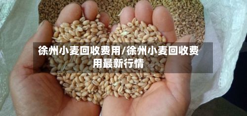 徐州小麦回收费用/徐州小麦回收费用最新行情-第2张图片