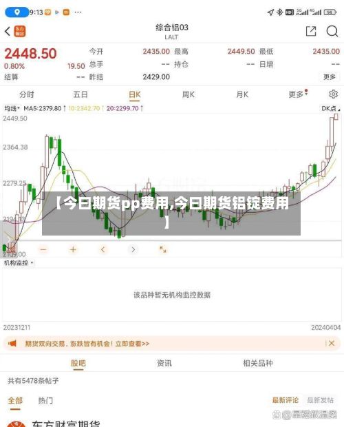 【今曰期货pp费用,今曰期货铝锭费用】-第2张图片