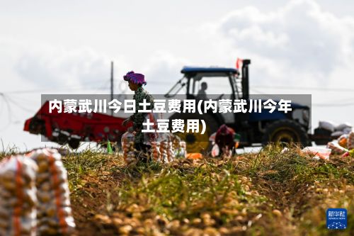 内蒙武川今日土豆费用(内蒙武川今年土豆费用)-第2张图片