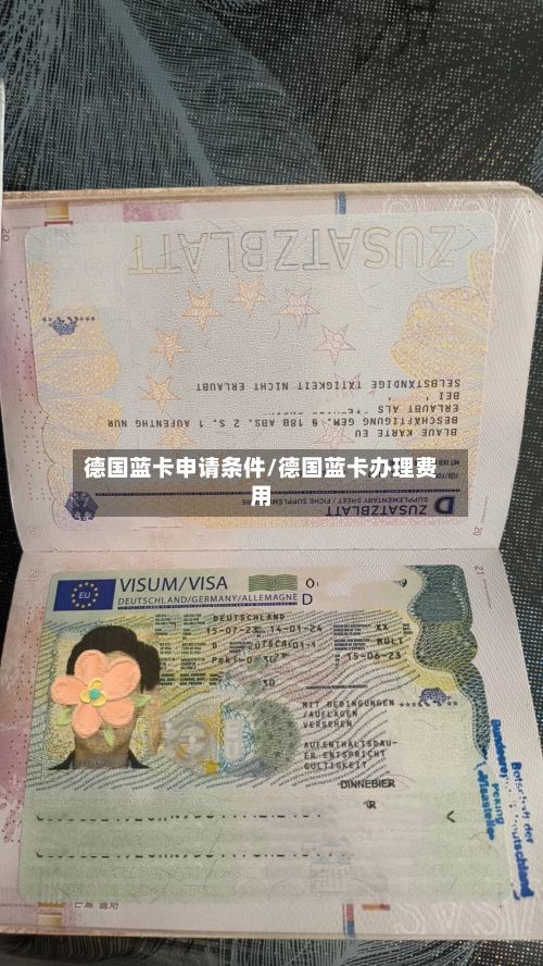 德国蓝卡申请条件/德国蓝卡办理费用
