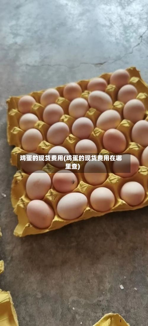 鸡蛋的现货费用(鸡蛋的现货费用在哪里查)