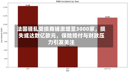 法国骚乱受损商铺激增至3000家，损失或达数亿欧元，保险赔付与财政压力引发关注-第3张图片